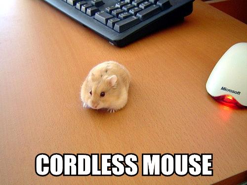 cordless+mouse1202008728.jpg