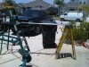 IMG00303-20100515-1340.jpg