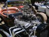 DSC01098.JPG