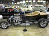 Starbird2010 003.JPG