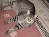100_0021A.jpg