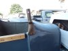DSCN0464.JPG