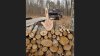 Screenshot_2020-11-25 Here's Your Wood png (PNG Image, 1720 × 2030 pixels) - Scaled (46%).jpg