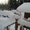 SnowCover.jpg