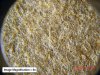 FP01_FilterInsideView_01404.jpg