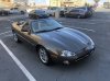 IMG_0233 small.jpg