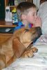 Dog prays.jpg