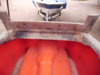 Mold Inside frt.jpg