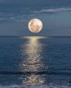 Moonset.jpg