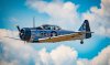 T-6.jpg
