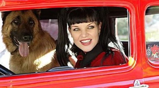 abby-ncis-car.jpg