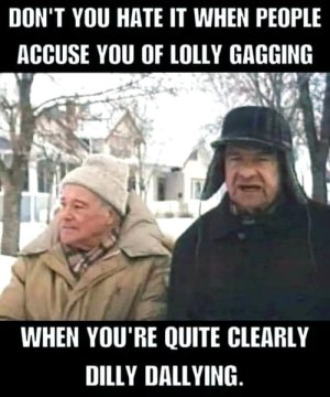 Funny z.jpg