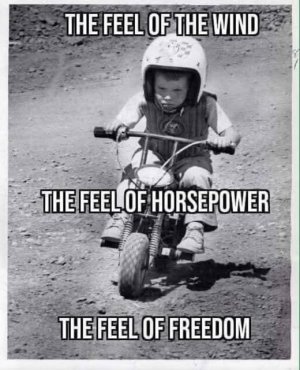 2 wheel fun.jpg
