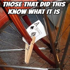 Bicycle with cards.jpg