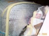 DCP03088.JPG