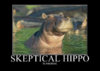 hippo-1.jpg