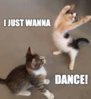 catdance.jpg