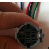 socket.jpg