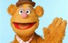 Fozzie.jpg