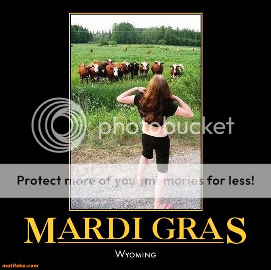 mardi-gras-wyoming-cows-humor-demotivational-posters-1329532403.jpg